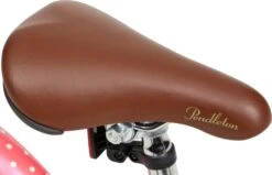 Pendleton Hanberry Kids Bike - 20" Wheel -Apollo® Sale Store 148774f