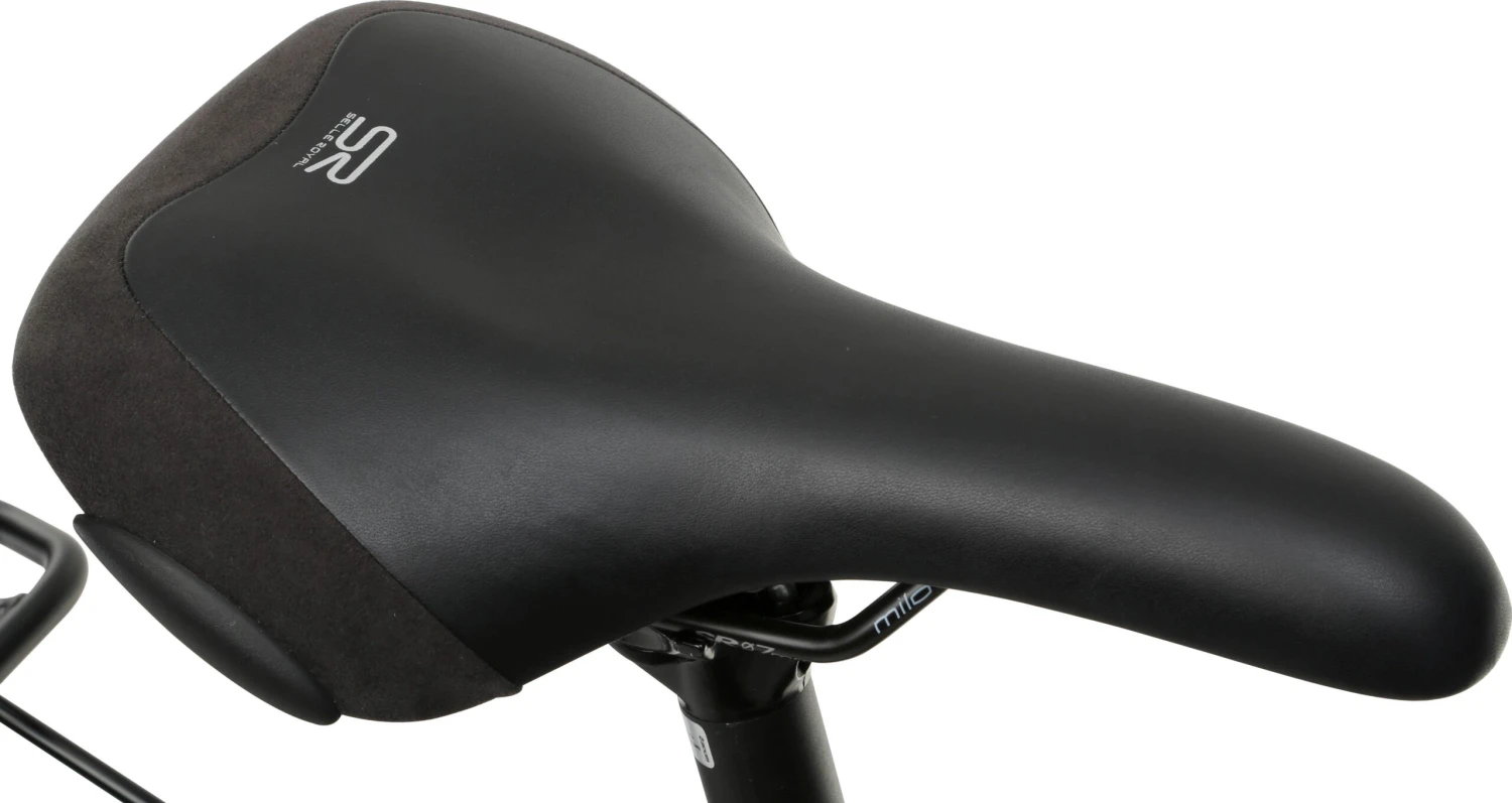 Second Hand Grade B - Raleigh Felix+ Step Through Electric Hybrid Bike - S Frame 8 Second Hand Grade B - Raleigh Felix+ Step Through Electric Hybrid Bike - S Frame - Image 6