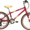 Raleigh Pop Junior Bike - Plum - 20" Wheel -Apollo® Sale Store 427470