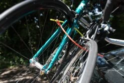 HipLok Z-Lok Armoured Reuseable Tie2 Pack - Lime -Apollo® Sale Store 445901d