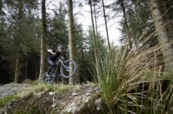 Voodoo Nzumbi Junior Mountain Bike - 26" Wheel -Apollo® Sale Store 450966b