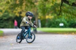 Carrera Cosmos Kids Bike - 14" Wheel - Blue -Apollo® Sale Store 456630d