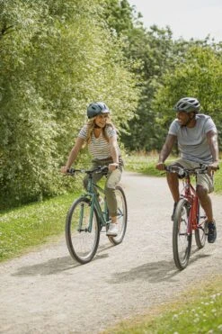 Apollo® Apollo Cosmo Womens Hybrid Bike - 14", 17", 20" Frames -Apollo® Sale Store 560638c