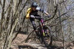 Limar Delta Helmet -Apollo® Sale Store 719518f