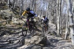 Limar Delta Helmet -Apollo® Sale Store 719518h