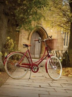 Pashley Britannia Womens Classic Bike - 17.5", 20", 22" Frames -Apollo® Sale Store 774126b