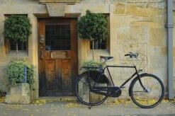 Pashley Roadster Sovereign 5 Mens Classic Bike - 20.5", 22.5" Frames -Apollo® Sale Store 774238b